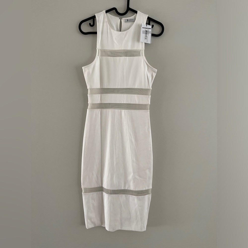 NWT T by Alexander Wang Mesh-stripe Dress, White, Size XS - Picture 4 of 11
